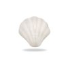shelly fehér kagyló formájú bútorgomb